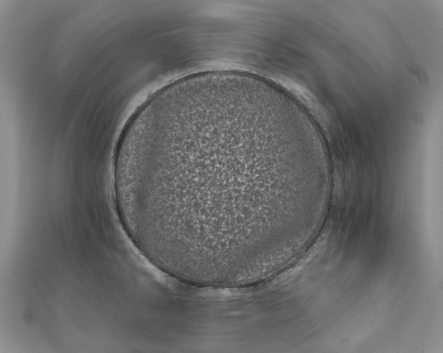 X0000110871286200907021428