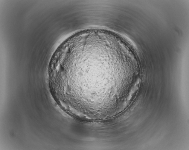 X0000110871287200907021428