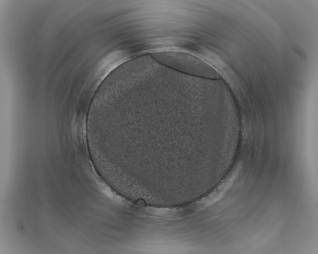 X0000110871289200907021428