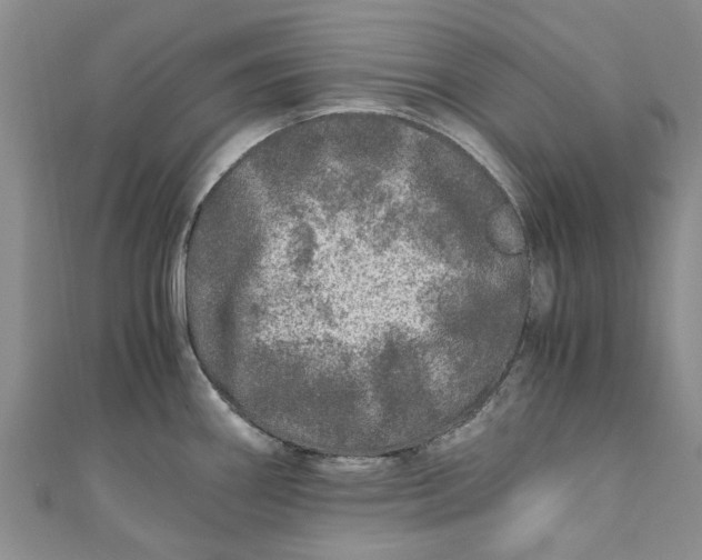 X0000110871290200907021428