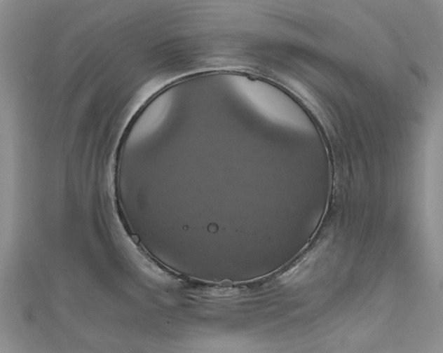 X0000110871291200907021428