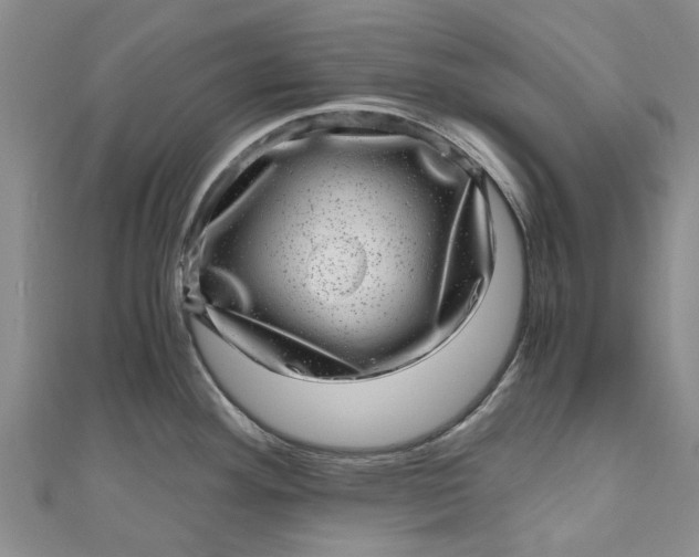 X0000110871292200907021428