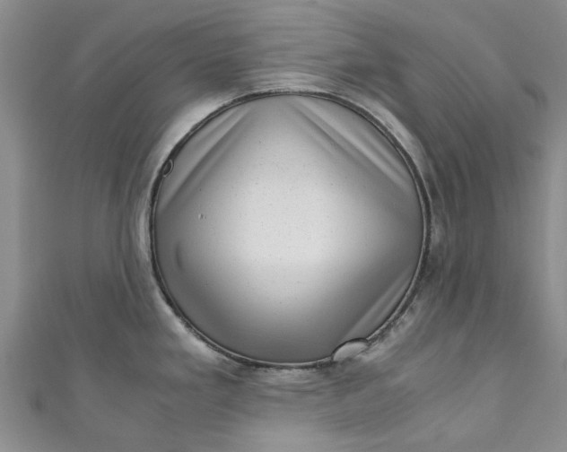 X0000110871293200907021428