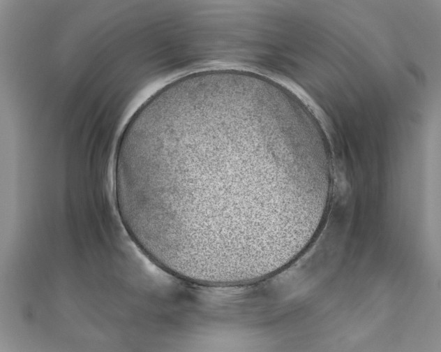 X0000110871294200907021428