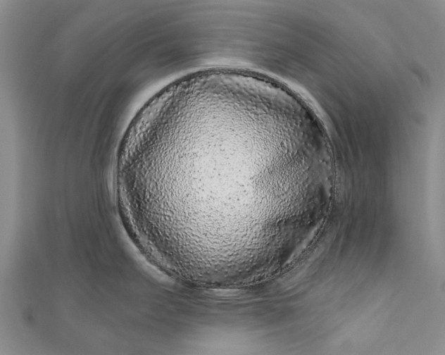 X0000110871295200907021428