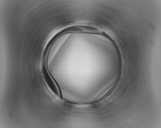 X0000110871296200907021428