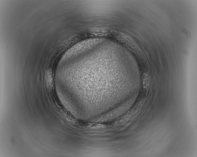 X0000110871298200907021428