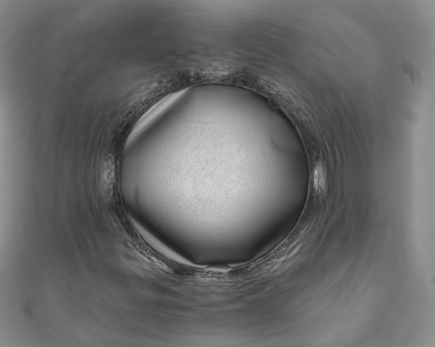 X0000110871299200907021428