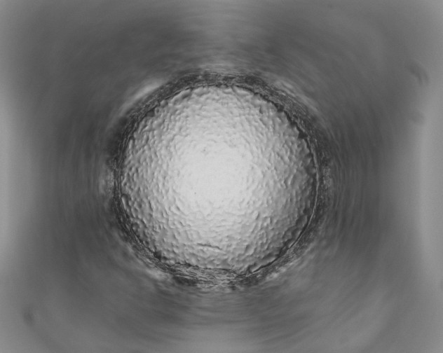 X0000110871302200907021428