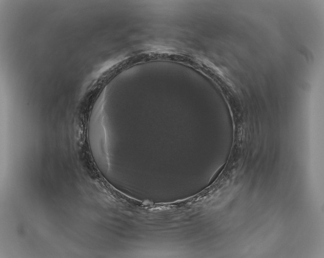 X0000110871303200907021428