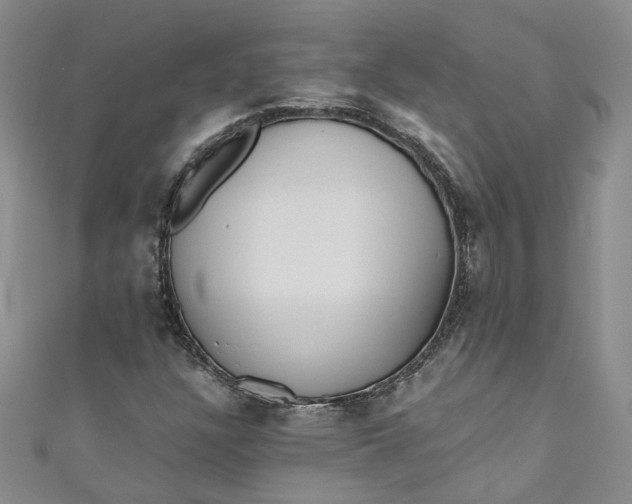 X0000110871304200907021428