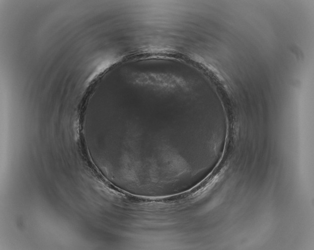 X0000110871306200907021428