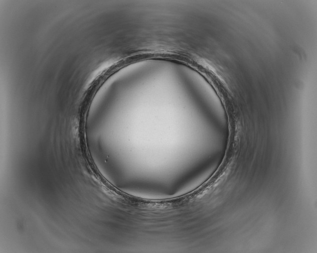 X0000110871307200907021428