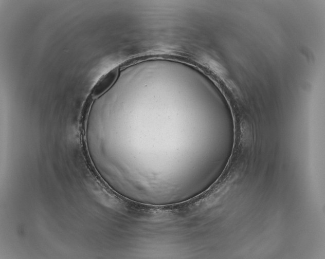 X0000110871308200907021428