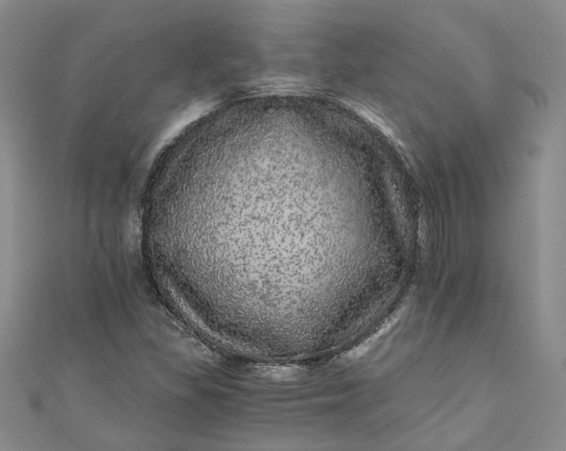 X0000110871309200907021428