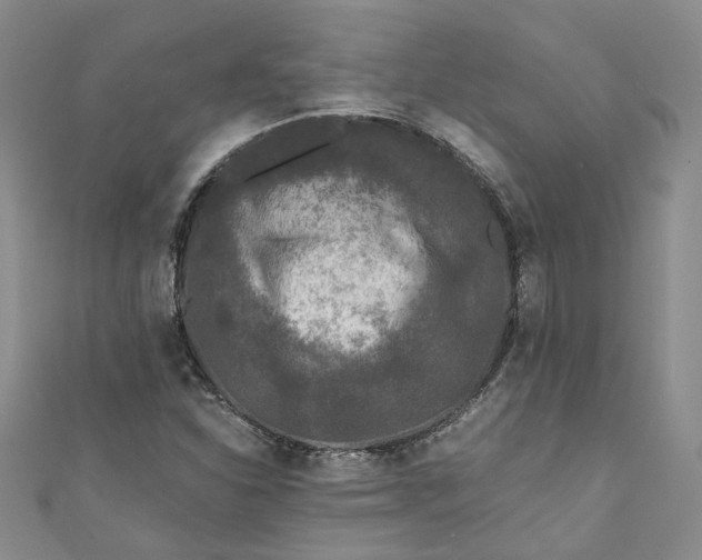 X0000110871310200907021428