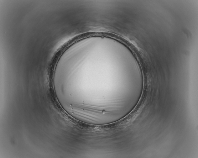 X0000110871311200907021428