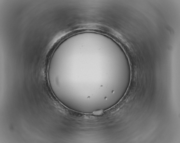 X0000110871312200907021428