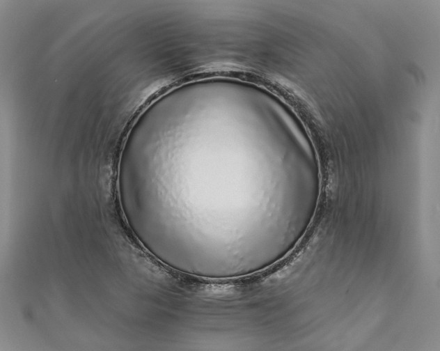 X0000110871313200907021428