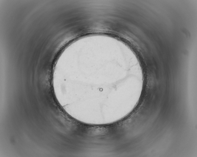 X0000110871314200907021428