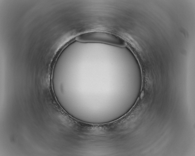 X0000110871316200907021428