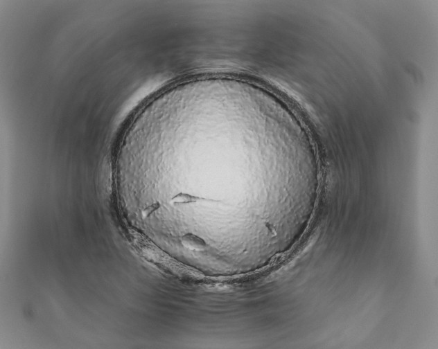 X0000110871317200907021428