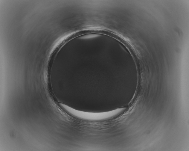 X0000110871319200907021428