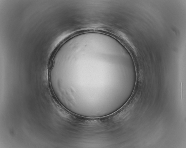 X0000110871320200907021428