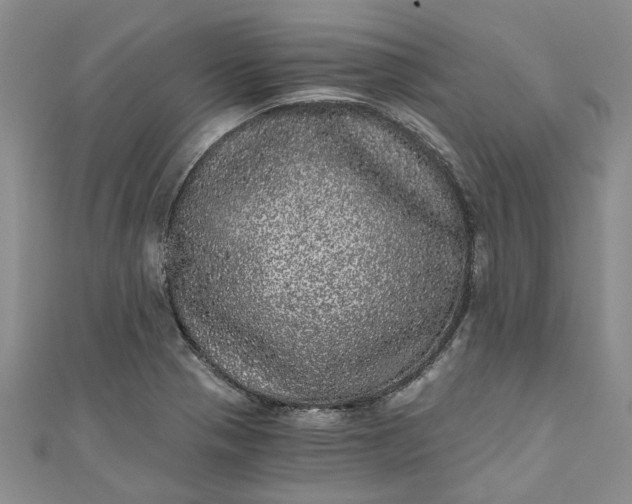 X0000110871321200907021428