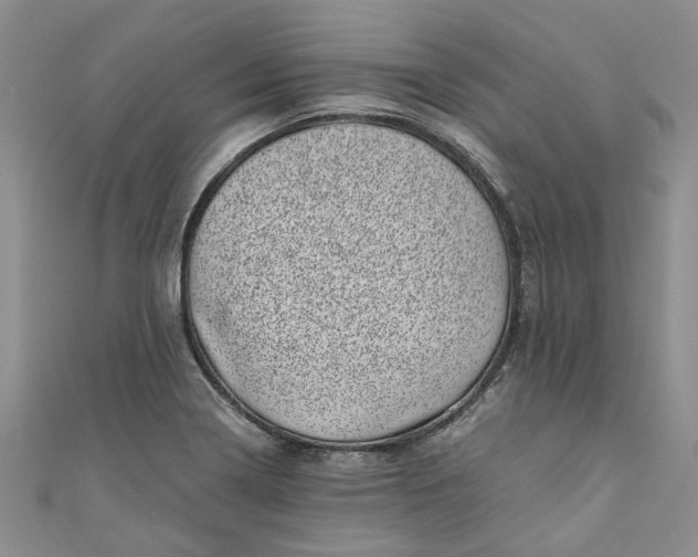 X0000110871322200907021428