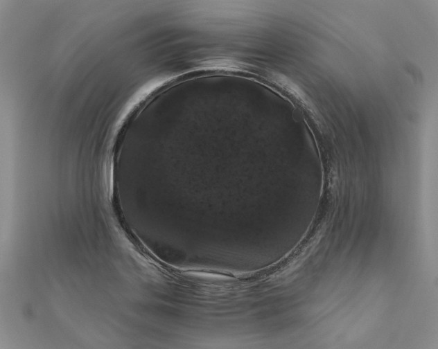 X0000110871323200907021428