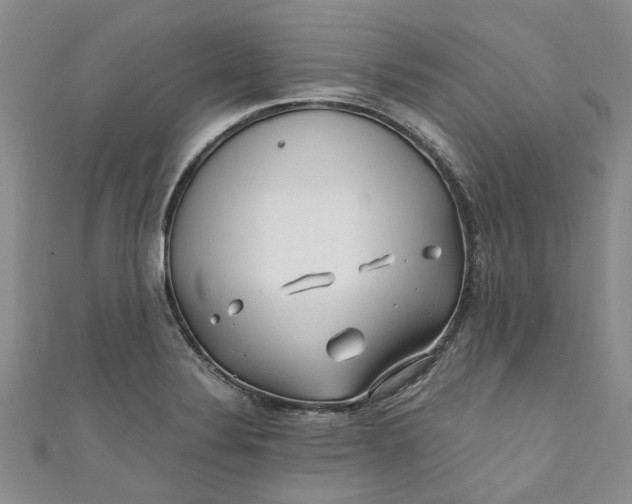 X0000110871324200907021428