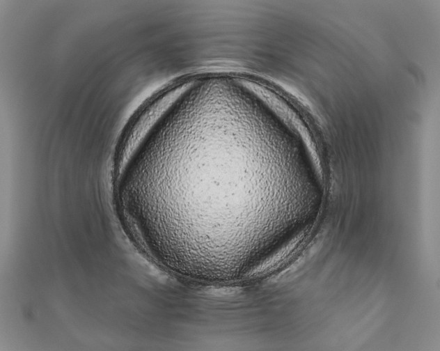 X0000110871325200907021428