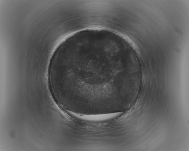 X0000110871327200907021428