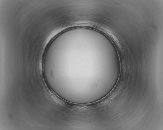 X0000110871328200907021428