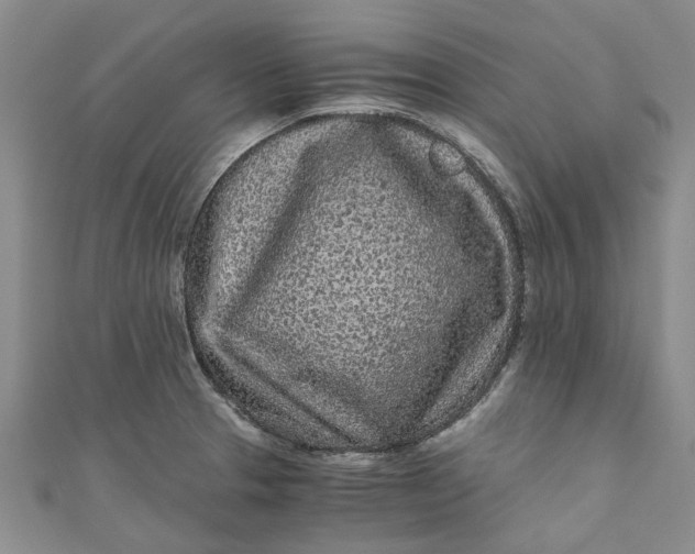 X0000110871329200907021428