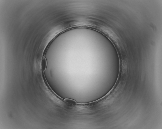 X0000110871330200907021428