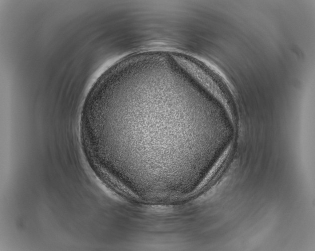 X0000110871333200907021428