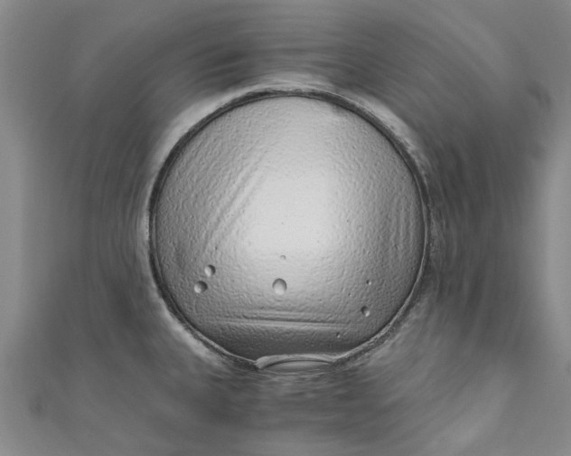 X0000110871335200907021428