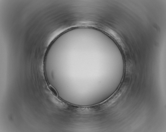 X0000110871336200907021428