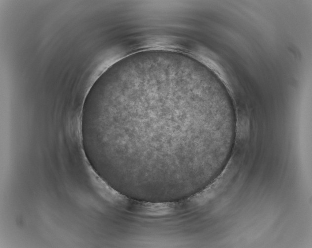 X0000110871338200907021428