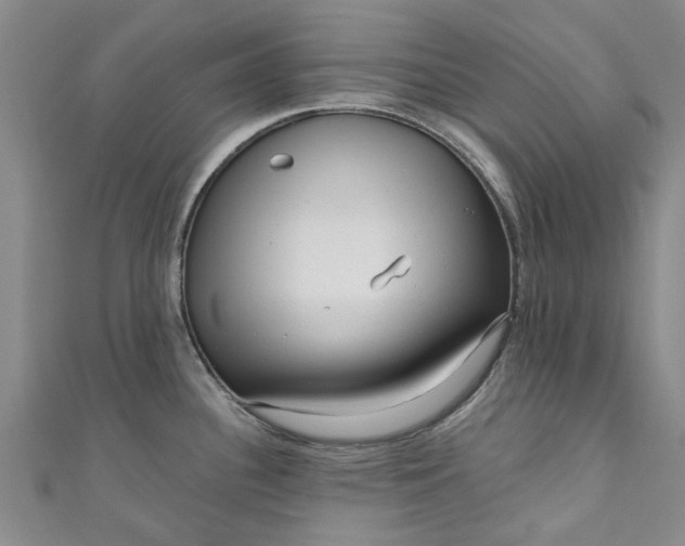 X0000110871340200907021428