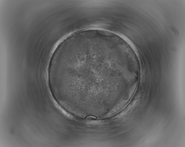 X0000110871341200907021428