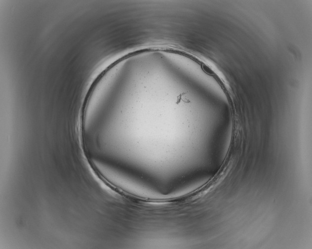 X0000110871343200907021428