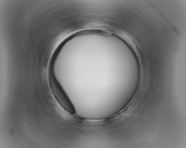 X0000110871344200907021428