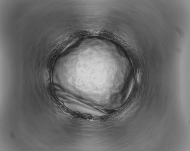 X0000110871347200907021428