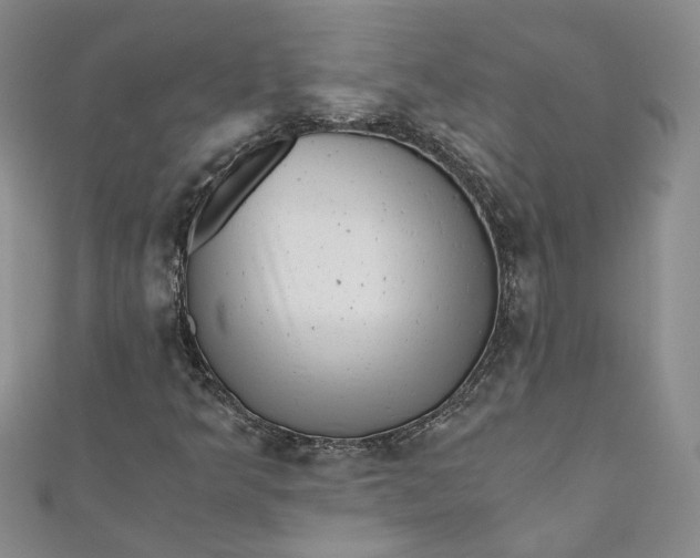 X0000110871349200907021428