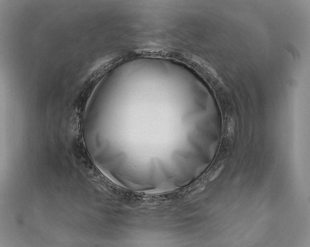 X0000110871350200907021428