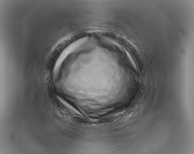 X0000110871351200907021428