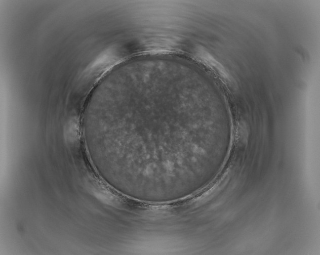 X0000110871353200907021428